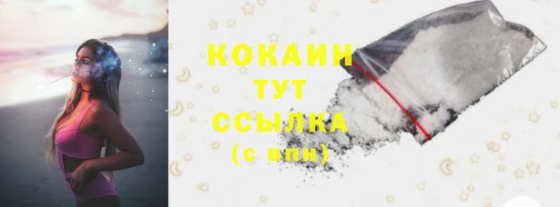 PSILOCYBIN Абдулино