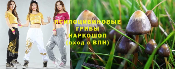 молекула духа Алексеевка